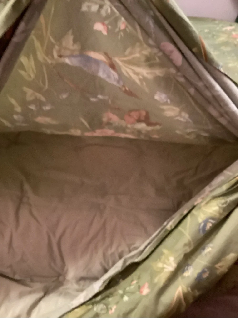 Pottery Barn Sylvie F/Q Duvet Cover & Duvet Organic Cotton Floral 87”x93”